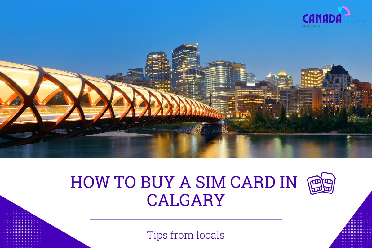 How To Buy A SIM Card Calgary Tips from Locals 2024